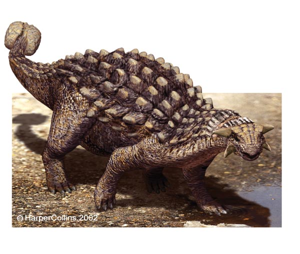 ankylosaurus-referát.jpg
